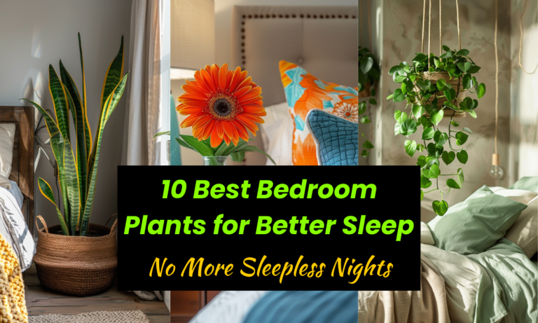 From Restless to Refreshed: 10 Best Bedroom Plants for Better Sleep