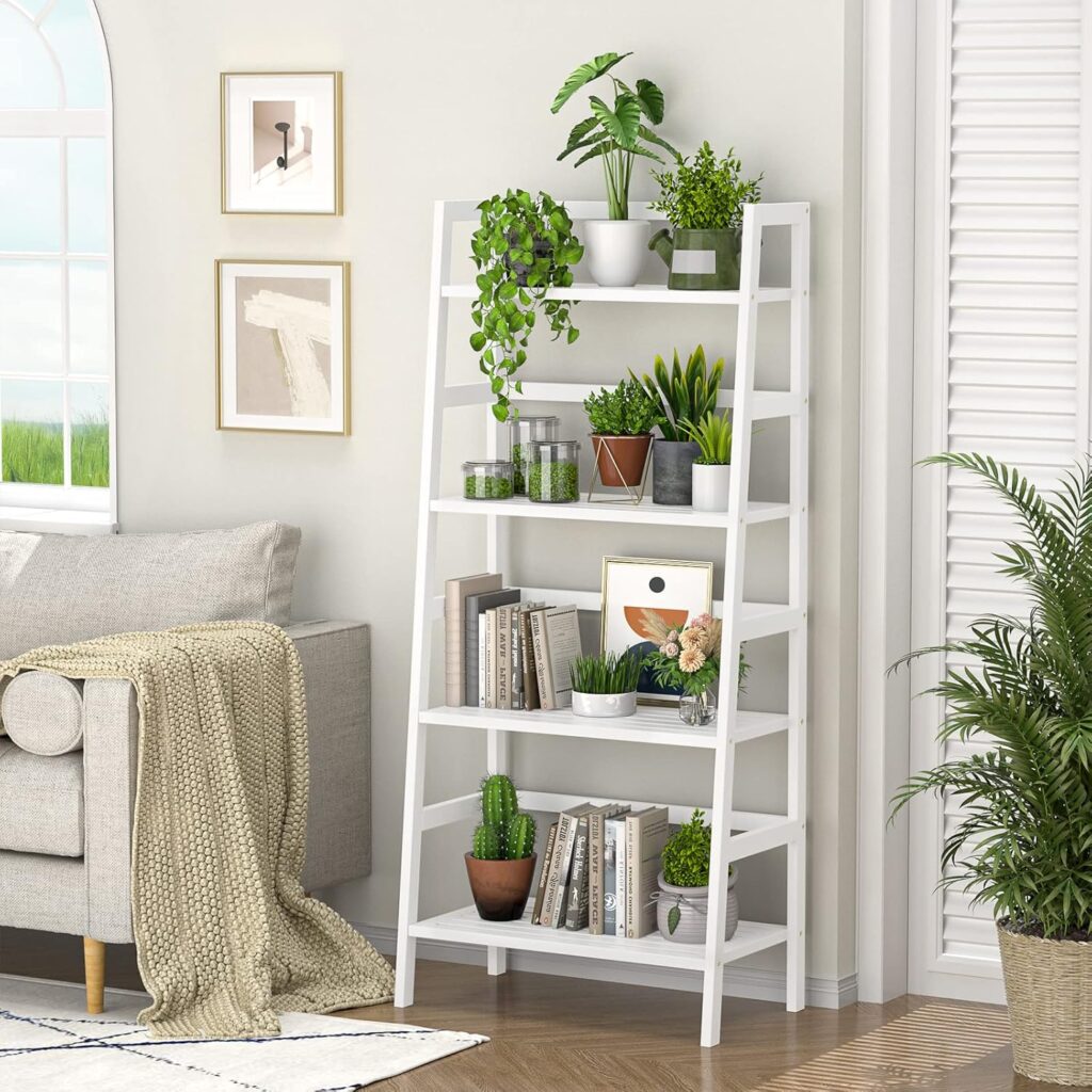 Ladder shelves